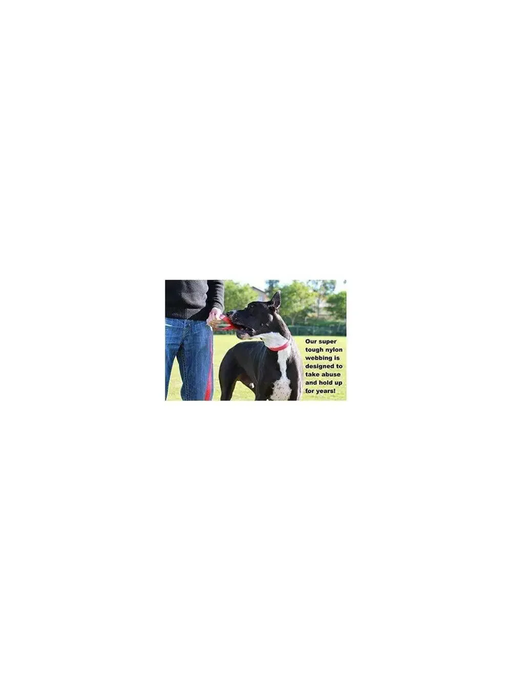 Grrrip Dual Handle Dog Leash 6FT Heavy Duty No Pull Training Lead Medium Large